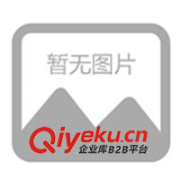 大跨度車間鋼結(jié)構(gòu)天橋 懸掛線、輸送機、流水生產(chǎn)線